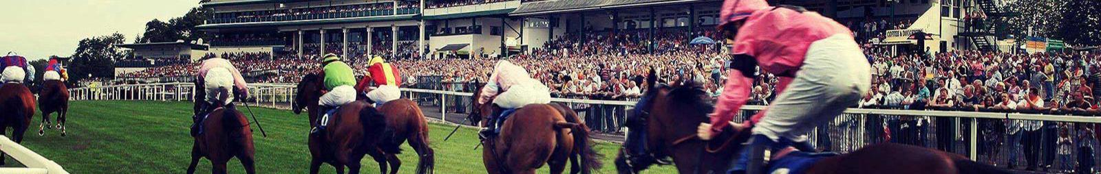 A view from behind as seven horses race down a turf straight.
