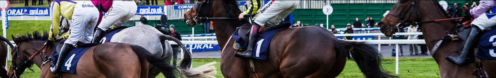 Jockeys racing past crowds at Chepstow Racecourse.